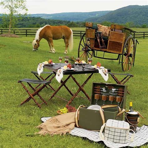 This! Yeah, this is actually the perfect picnic. | Country picnic ...