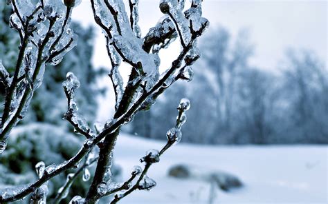 Winter Ice Wallpapers - Top Free Winter Ice Backgrounds - WallpaperAccess