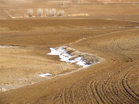 steppe climate and steppe climate, the love of nature, the view of ...