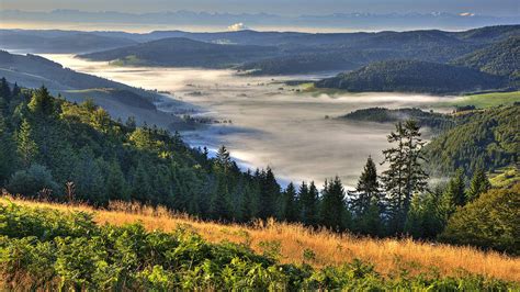 Naturschutz Schwarzwald erweitern