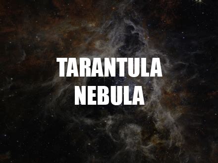 Facts About The Tarantula Nebula | Picture The Stars