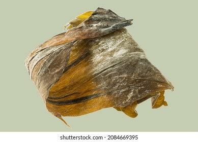 Kombu Seaweed Isolated On White Stock Photo 2084669395 | Shutterstock