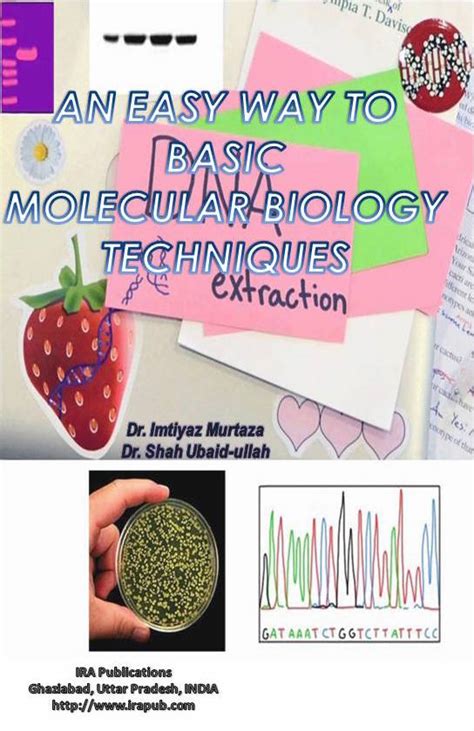 Buy, Rent and Read An Easy Way to Basic Molecular Biology Techniques book online