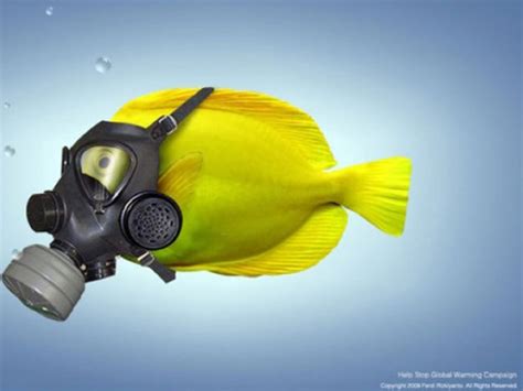 Cool Pictures: Top 30 cool Funny fish wallpaper gallery collection