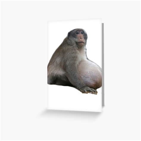 "Uncle Fatty Monkey Meme Big Sticker" Greeting Card for Sale by ...