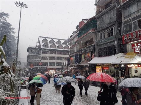 Alert after heavy snowfall in Manali - Discover Kullu Manali