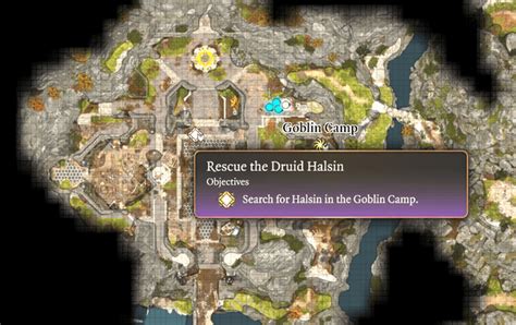 So I can't find Halsin in the Goblin camp : r/BaldursGate3