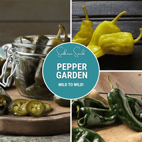 Pepper Seed Collection - 6 Essential Heirloom Peppers - Southern Seed Exchange – Southern Seeds