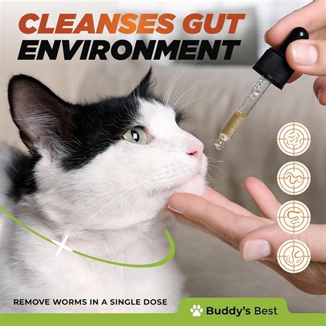 Exploring The Benefits: Natural Dewormer For Cats Review | Happy Pet Place: Ultimate Guide For ...