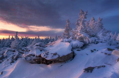 #476836 trees, nature, cold, Russia, winter, snow - Rare Gallery HD ...