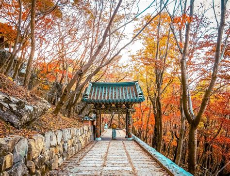 Autumn In Korea 2024 | 48 Exceptional Places To See Breathtaking Fall ...