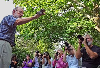 Joe's Retirement Blog: Manomet Bird Observatory, Manomet Center for Conservation Sciences ...