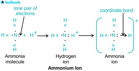 Ammonium ion: Learn Definition, Formation, Properties, & Uses