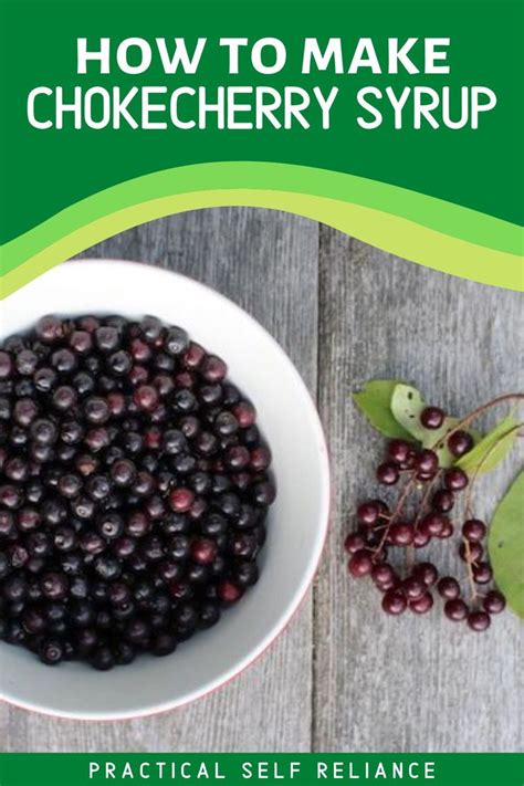 Chokecherry Syrup | Chokecherry syrup, Chokecherry, Seasonal food