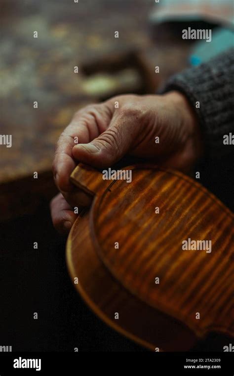Senior expert violin maker luthier, wrinkled old hand hold check varnish of classic handmade ...