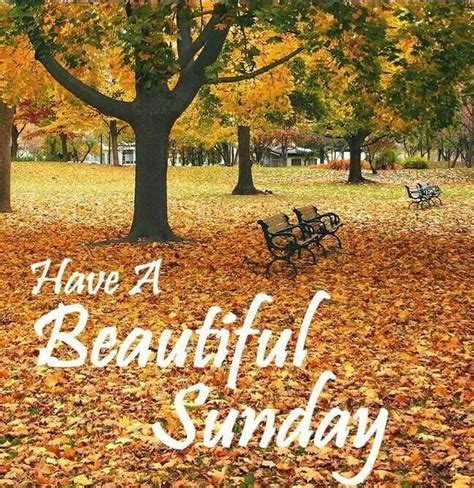 Beautiful Fall Sunday | Have a beautiful sunday, Hello sunday, Sunday ...