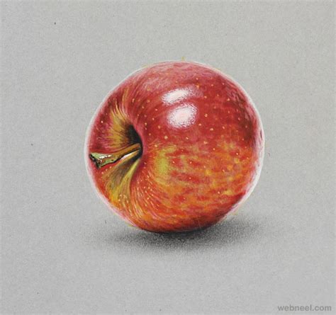 Apple Realistic Drawing By Marcello Barenghi 12