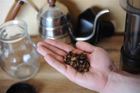 What is Cascara and How Do We Prepare it?