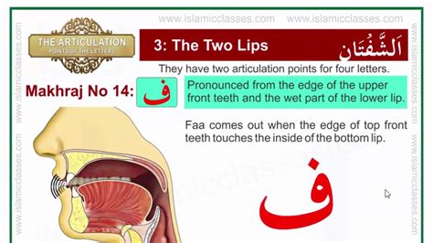 Makhraj No 14/17 - Makhraj of Faa - Articulation Points of Arabic Letters - YouTube