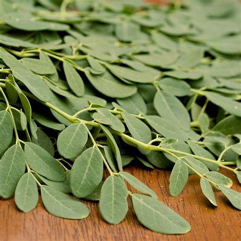 Moringa Leaves: Fresh Moringa Leaves