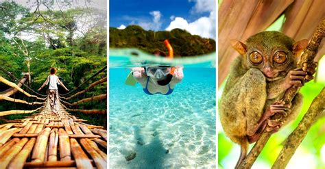 20 Epic Tourist Attractions in BOHOL - with prices - Daily Travel Pill