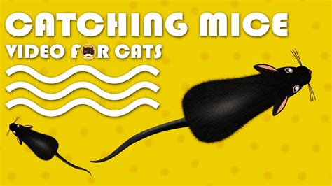 CAT GAMES - Catching Mice! Entertainment Video for Cats to Watch | CAT & DOG TV. - YouTube