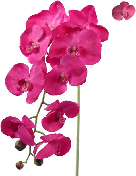 Artificial Orchids Real Touch Phalaenopsis Flowers - Lifelike and Elegant Decoration | Michaels