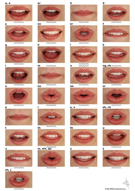 Lips and teeth colocation