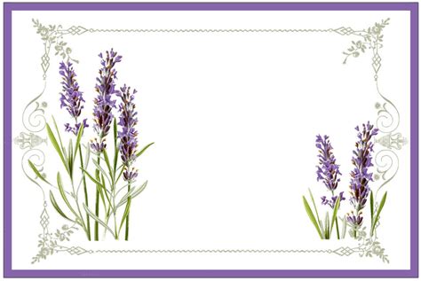 Free Printable Lavender Labels and Stickers! | Graphics fairy, Lavender ...