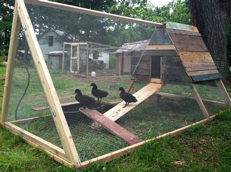 Backyard farming, Backyard chicken coop plans, Backyard garden diy