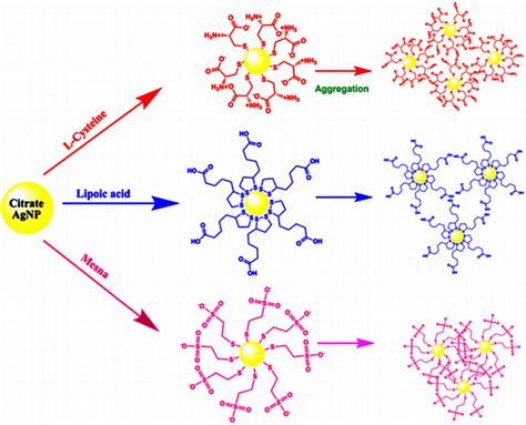 8 Mechanism of AgNP-based detection of cysteine mesna and lipoic acid ...