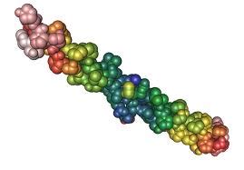 Globular and Fibrous - Proteins & Amino Acids