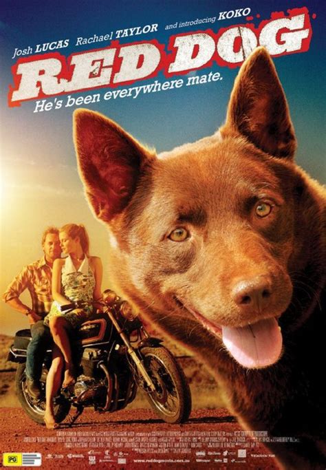 Red dog - 04-08-2011 | Dog movies, Red dog, Dog films