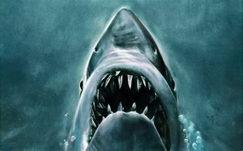 The Top 4 Jaws Movies of All-Time - AT&T Entertainment News