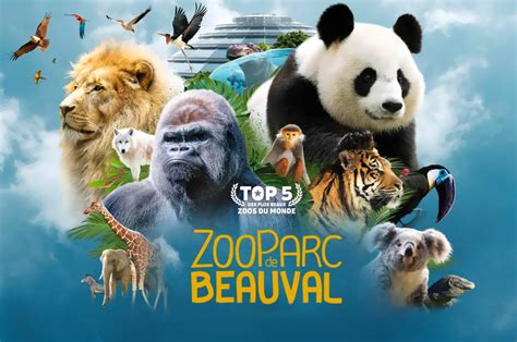 Zoo de Beauval : Billets, Tarifs, Adresse, Horaires et Activités