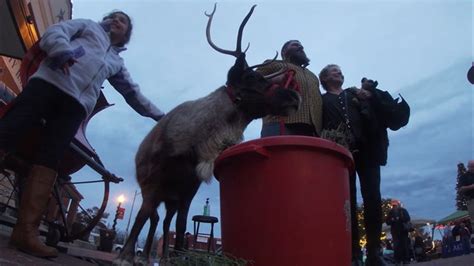 Reindeer comes from North Pole to visit the sweltering South | wfaa.com