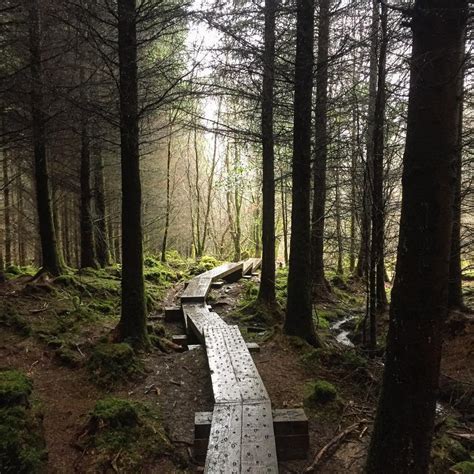 The wonderful thing about the Slieve Bloom Mountains is that you’ll find trails to suit every ...