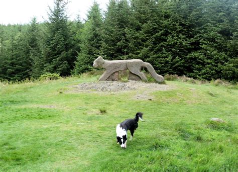 A walk in Grizedale Forest | Where2Walk