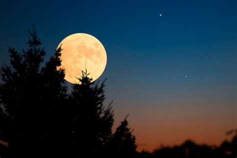 Sturgeon Moon 2024: August Full Moon Spiritual Meaning - Parade