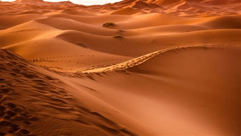 Sahara Desert | HD wallpaper, free picture, 4K, desktop background, 3840x2160, nature, image