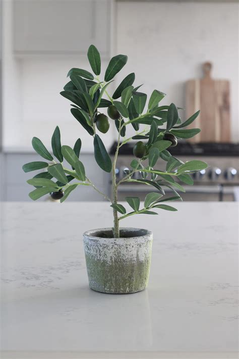 Faux Plant - Small Potted Olive Tree | Pretty Little Home