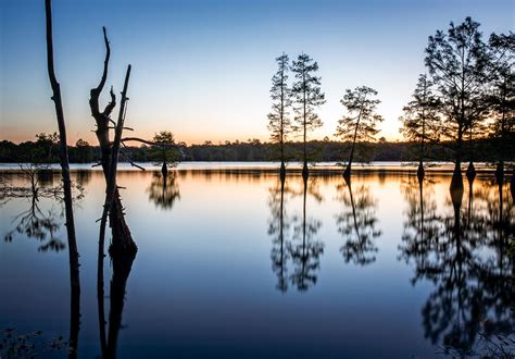 Guide to Louisiana's Byways