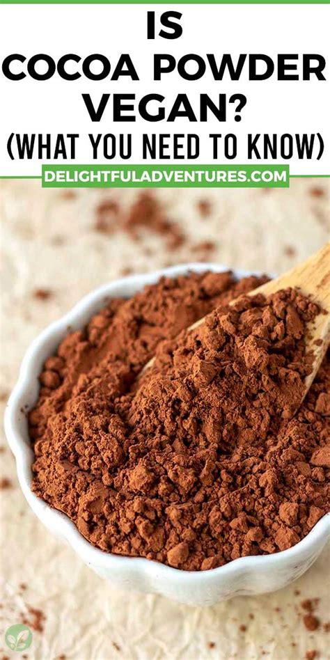 Is Cocoa Powder Vegan? (What You NEED to Know) - Delightful Adventures