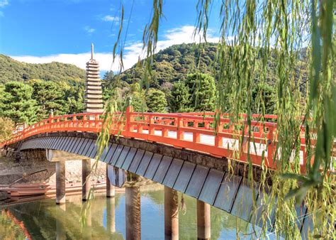 How to Plan a Day Trip to Uji? + One Day Uji Itinerary