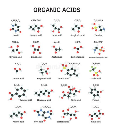 Organic Acids Molecules Set Stock Vector - Illustration of physics ...