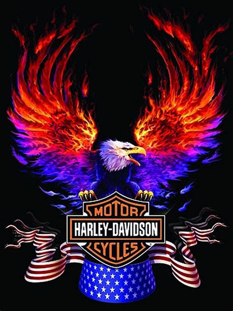 Harley-Davidson Eagle Wallpapers - Top Free Harley-Davidson Eagle ...