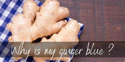 Why Is My Ginger Blue ? Is It Still Edible ? - Foodiosity