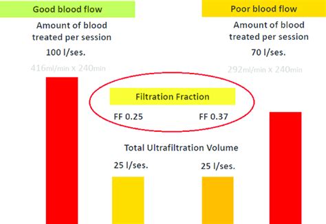 The impact of blood flow on filtration fraction. | Download Scientific ...