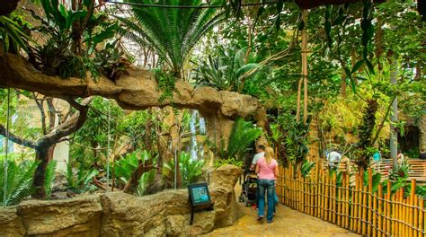 Dallas World Aquarium Tours - Book Now | Expedia