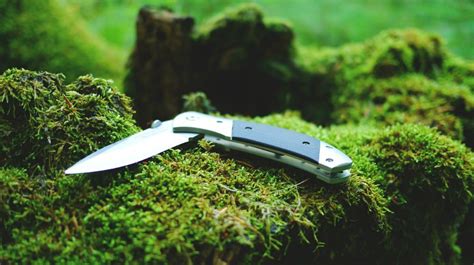 All You Need To Know About Pocket Knives For Survival